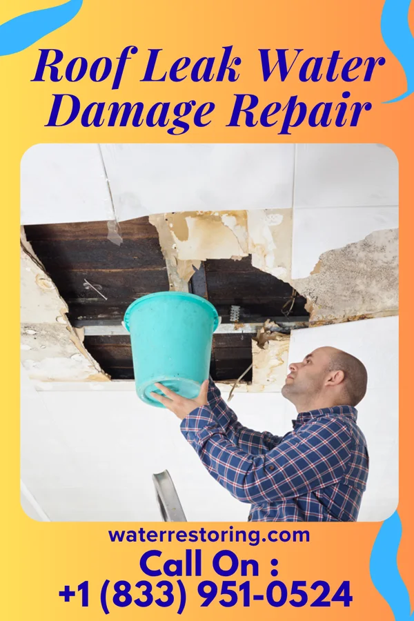 Roof Leak Water Damage Repair in Lakewood Park, FL
